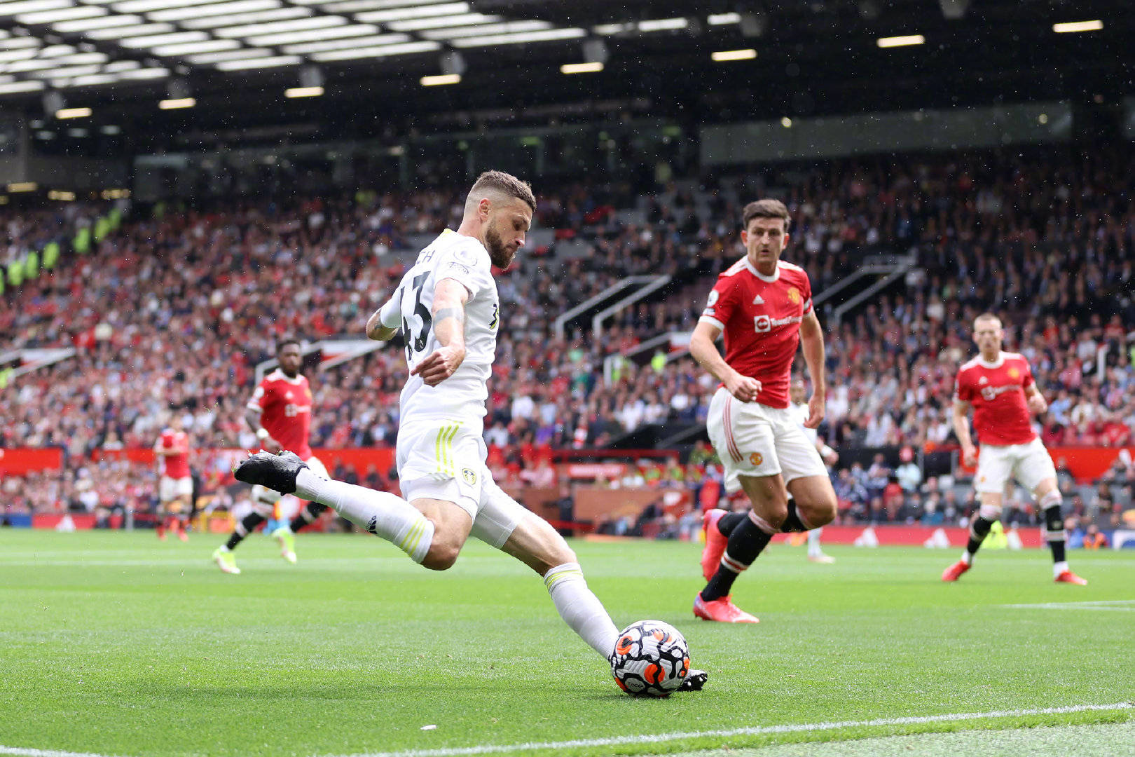 复苏能力 复苏能力